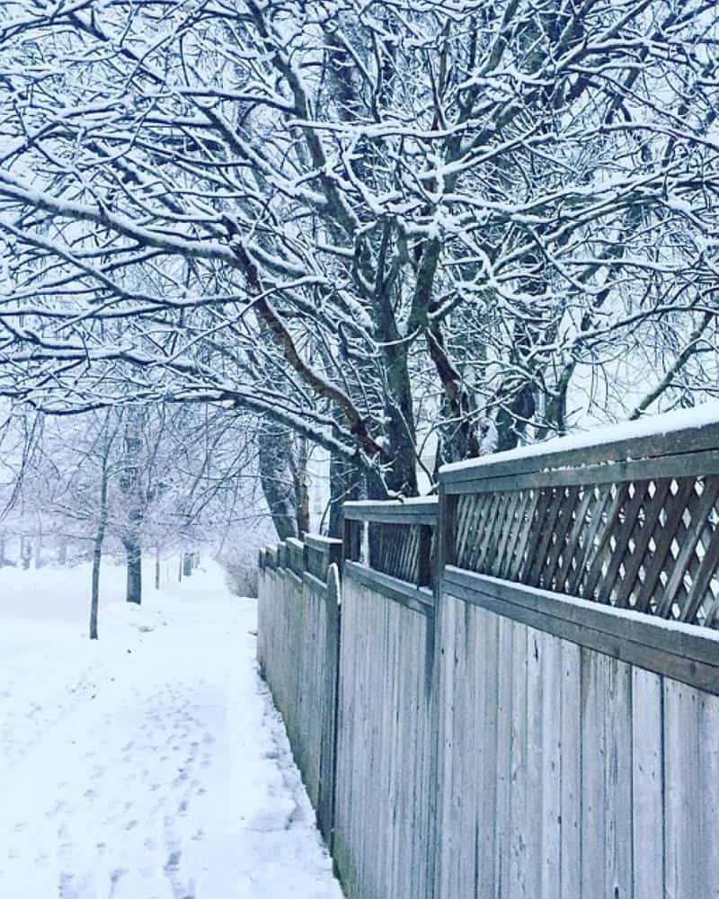 Hiking along a snowy street in Halifax, Nova Scotia, is warmer with KOMBI heated gloves